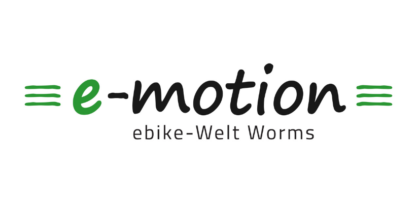 Niklas Gustke Elektromobilität GmbH