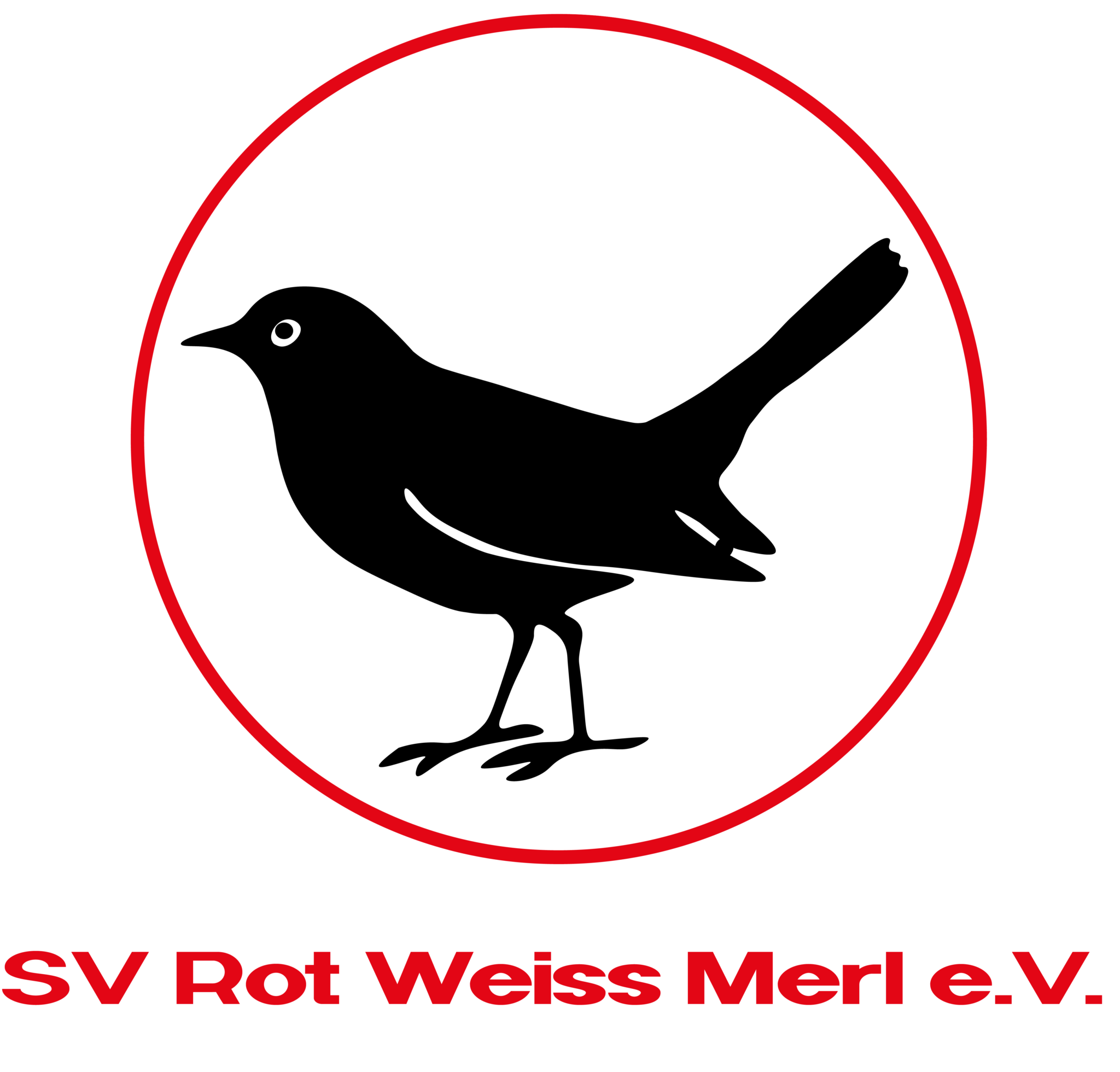 SV Rot-Weiss Merl Logo